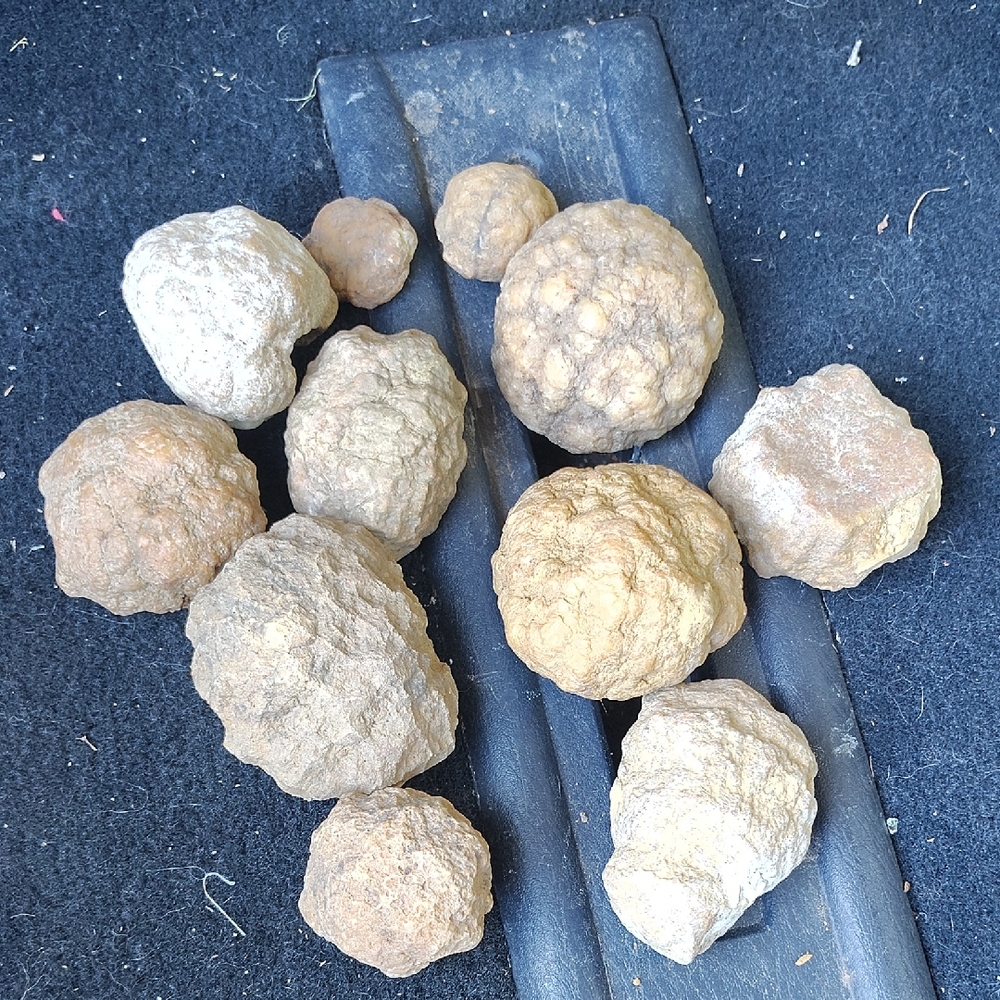 Geodes